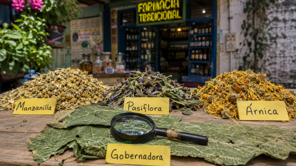 Plantas medicinales mexicanas: lo que la ciencia confirma y lo que mata mitos