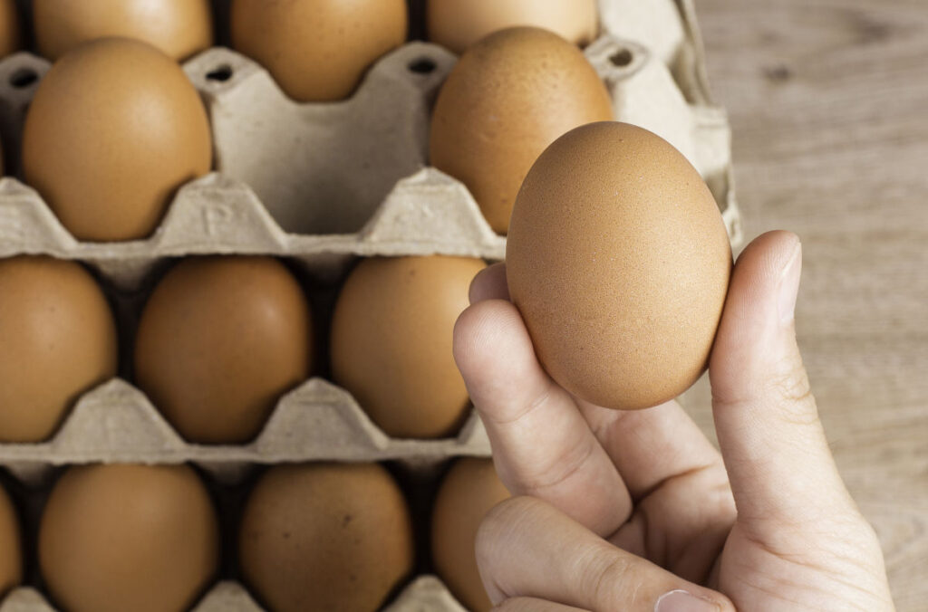 El alimento barato y poderoso que recomiendan los nutricionistas para cuidar el cerebro y los músculos