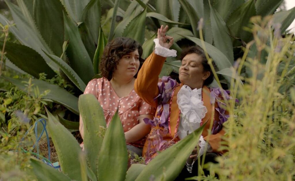 Festival Cine al Margen 2026: dónde ver gratis cine mexicano independiente en CDMX y en línea