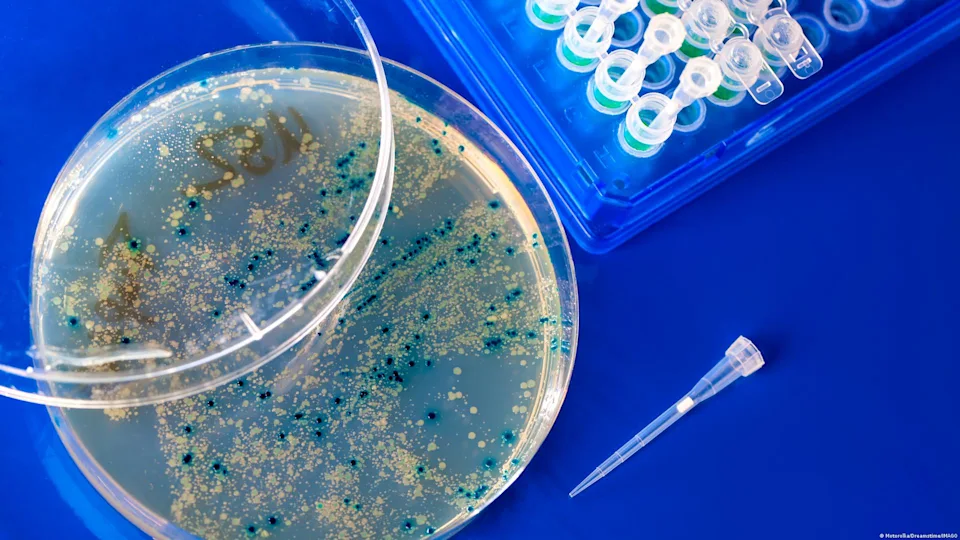 La IA ya puede crear virus desde cero: el avance científico que promete combatir superbacterias y preocupa por su potencial
