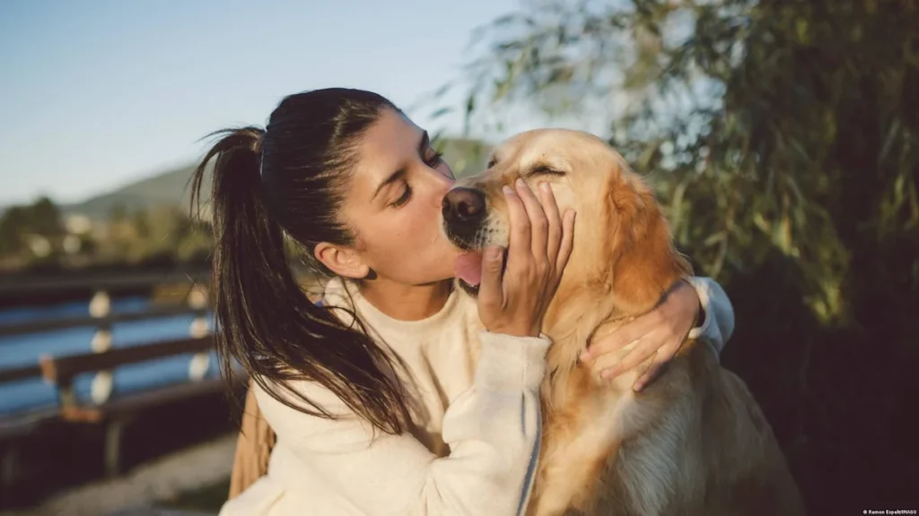 Los perros sí entienden nuestras emociones: su cerebro distingue alegría, miedo, ira y tristeza