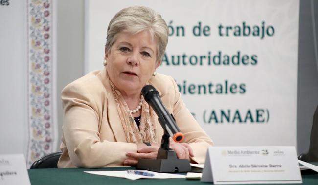 Gobierno federal niega aprobación a complejo turístico de Royal Caribbean en Quintana Roo