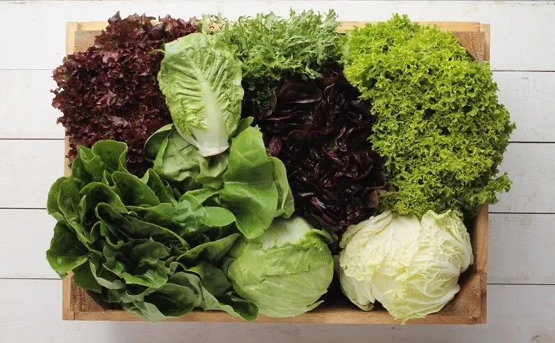 Un estudio relaciona las verduras de hoja verde con un menor riesgo de demencia