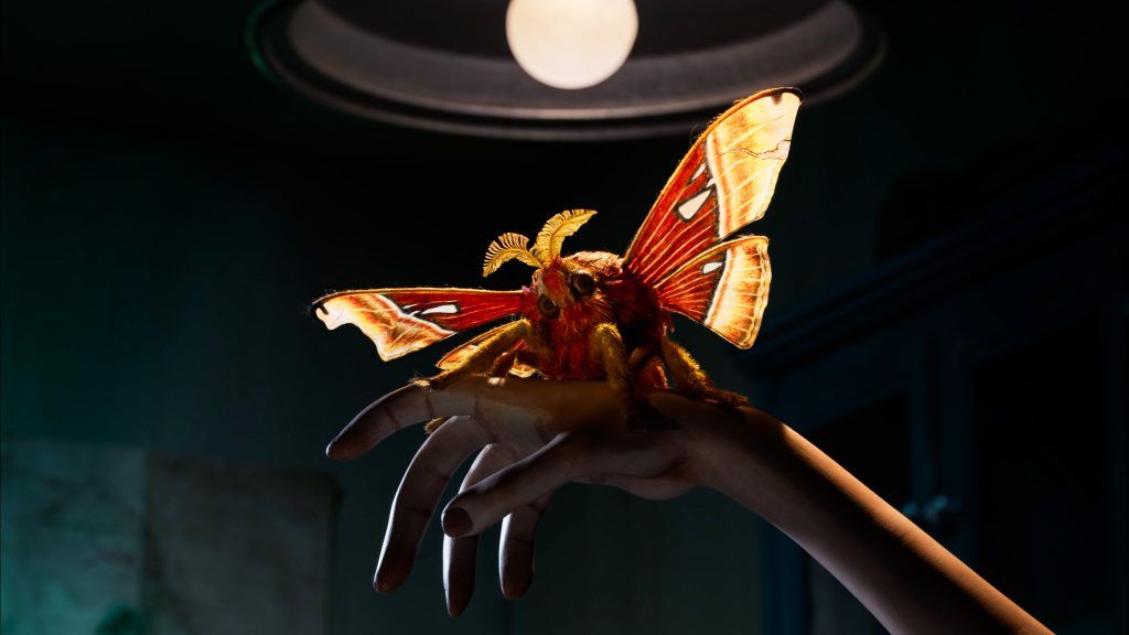 Sofía Carrillo anuncia Insectario, su primer largometraje stop motion