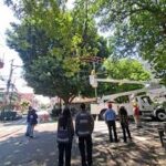 Laureano, bajo intervención: Sedema supervisa trabajos para evitar riesgos eléctricos