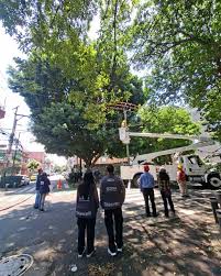 Laureano, bajo intervención: Sedema supervisa trabajos para evitar riesgos eléctricos