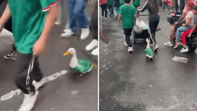 ¿Quién es Merlín, el pato mundialista que conquistó el Mundial 2026?