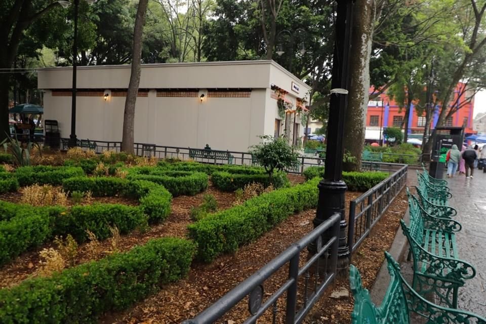 Denuncian ante la PAOT obras y comercios irregulares en Coyoacán vinculados al Mundial