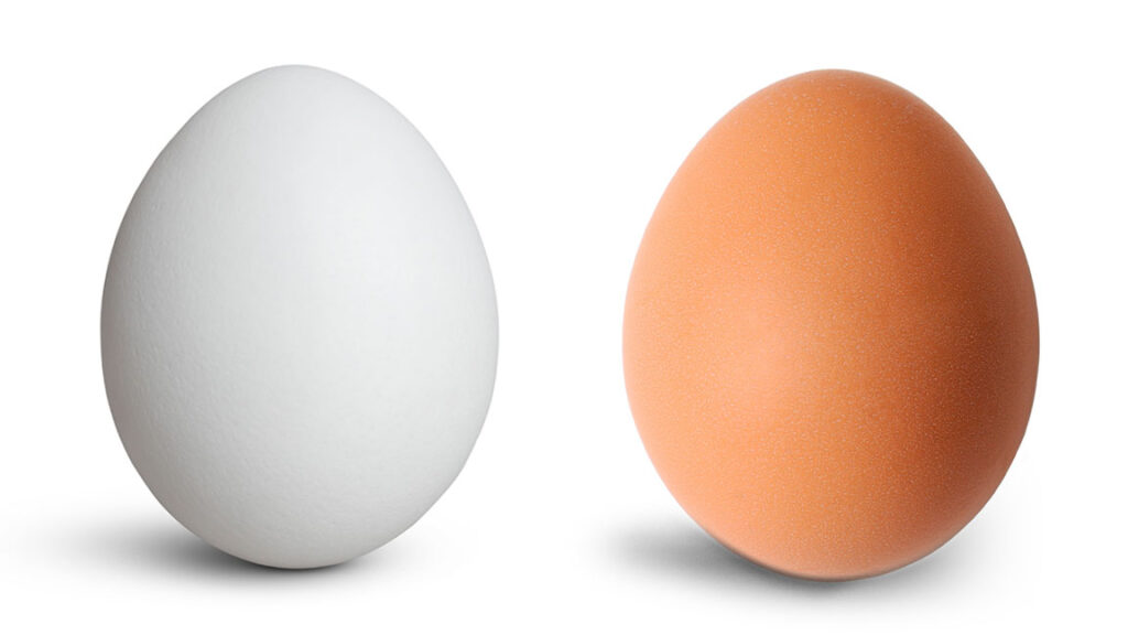 Cuántos huevos se pueden comer por semana sin afectar la salud, según especialistas