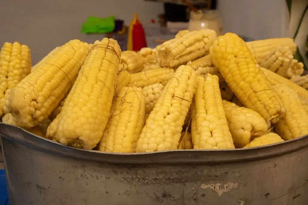 Últimos días para degustar elote, tortilla y sabores de pueblo: visita la Feria que convierte a Tláhuac en un paraíso del maíz